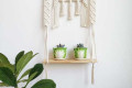 Plant Hanger For Home